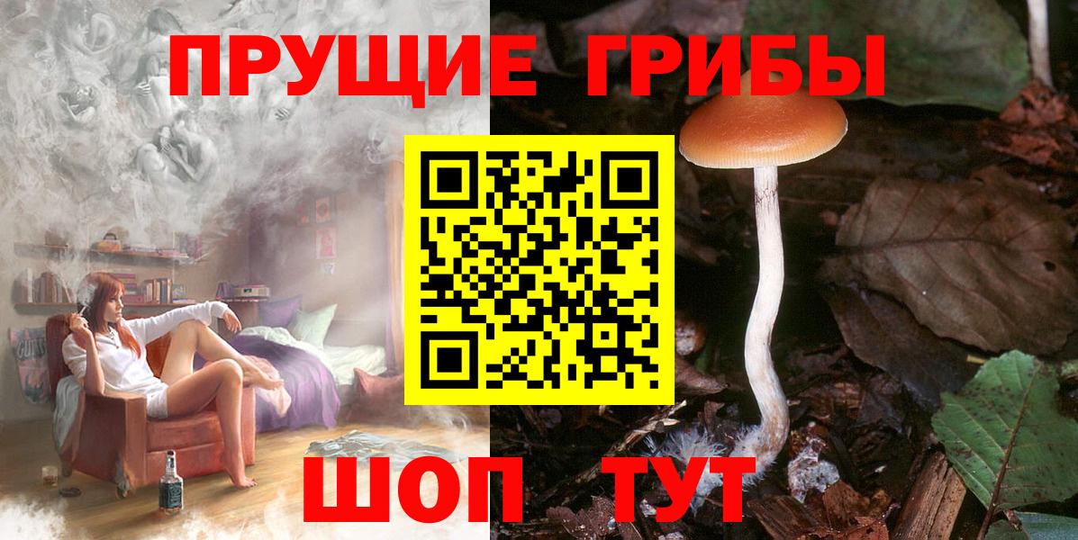 Псилоцибиновые грибы Psilocybe  купить закладку  Арсеньев  Галлюциногенные грибы ЛСД 